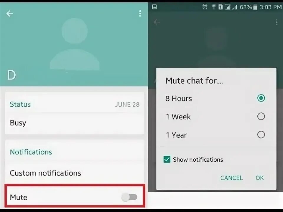 Whatsapp notifications