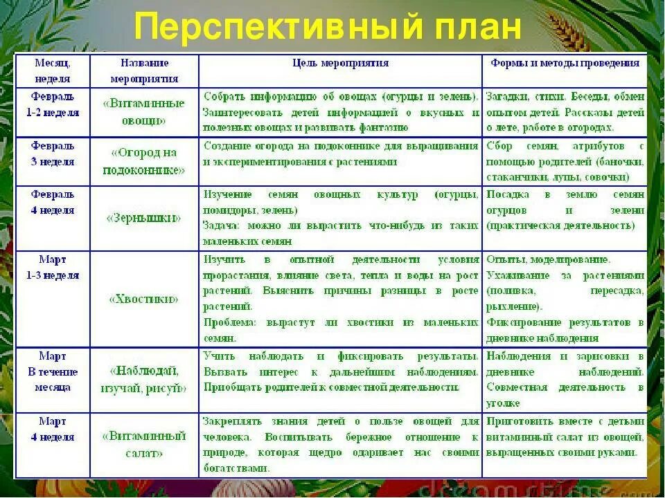 Перспективный план. Перспективный план таблица. План проект старшая группа. План работ на огороде. Экологические группы мероприятия