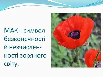 Символ маков