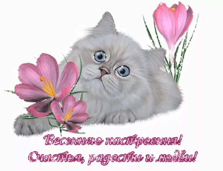 Стикер с весенним днем. Стикер с весенним днем. Стикеры с добрым утром. Стикеры с весной. Открытки весеннего настроения.