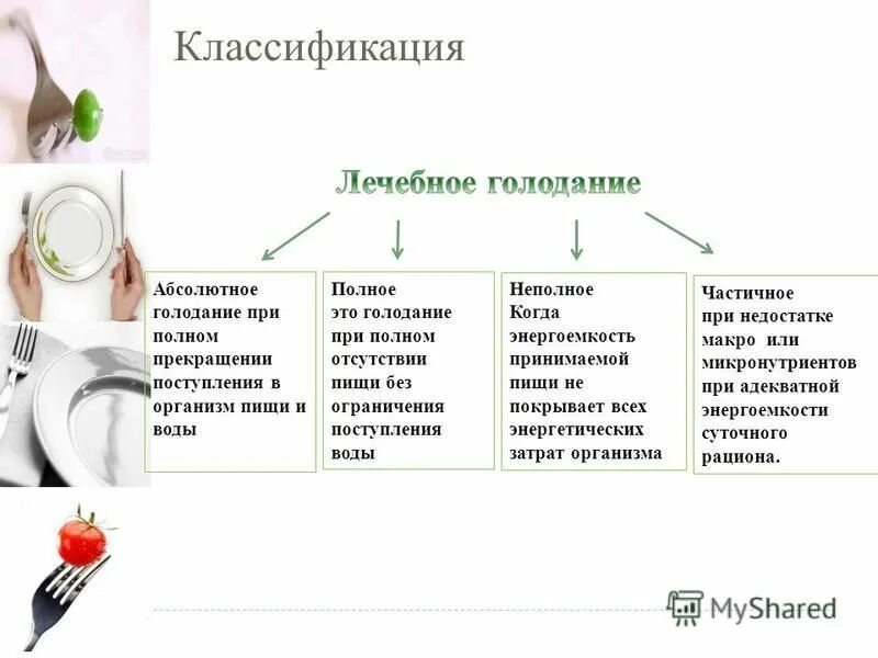 Вылечил голодом