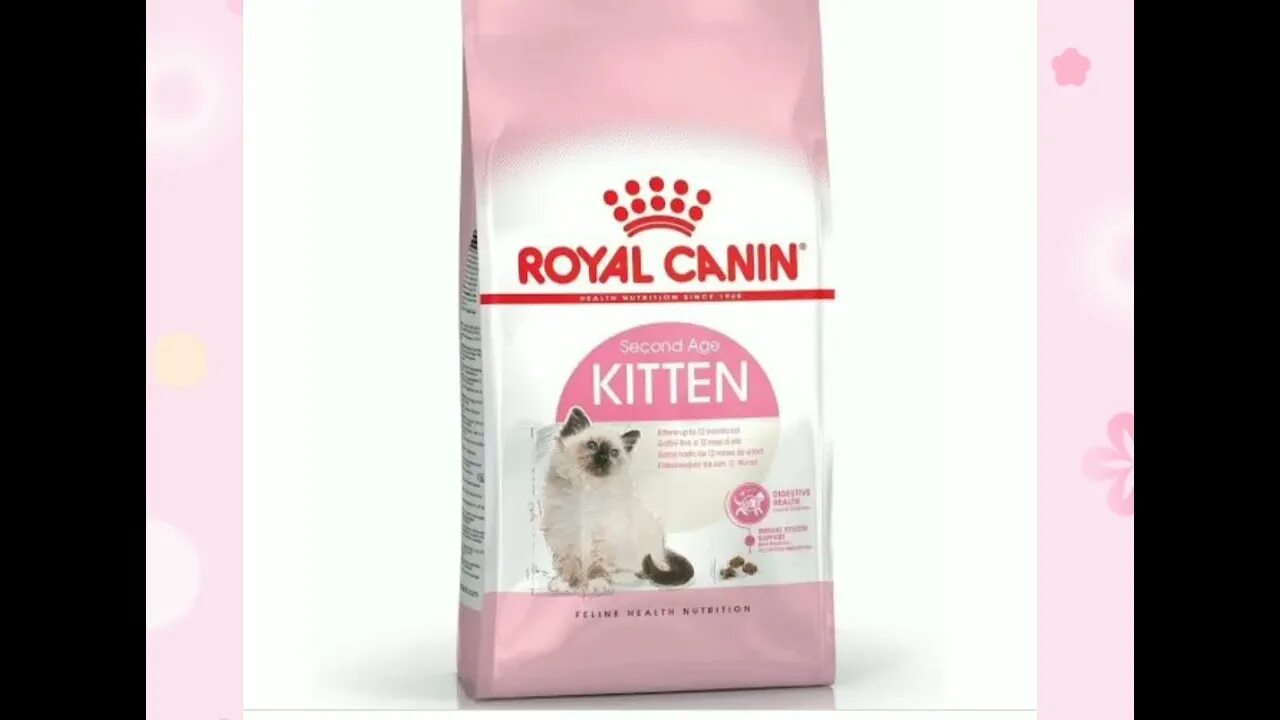 Роял канин мейн кун 2 кг. Роял канин для кошек мейн кун. Royal canin british shorthair kitten. Роял канин мейн кун 4 кг. Royal canin maine coon 31 4кг.