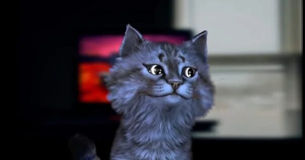 Как выглядит кот лео в реальной жизни About Кошка Лана Кот Лео со Стивом Amino