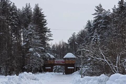 Ели в мордовии