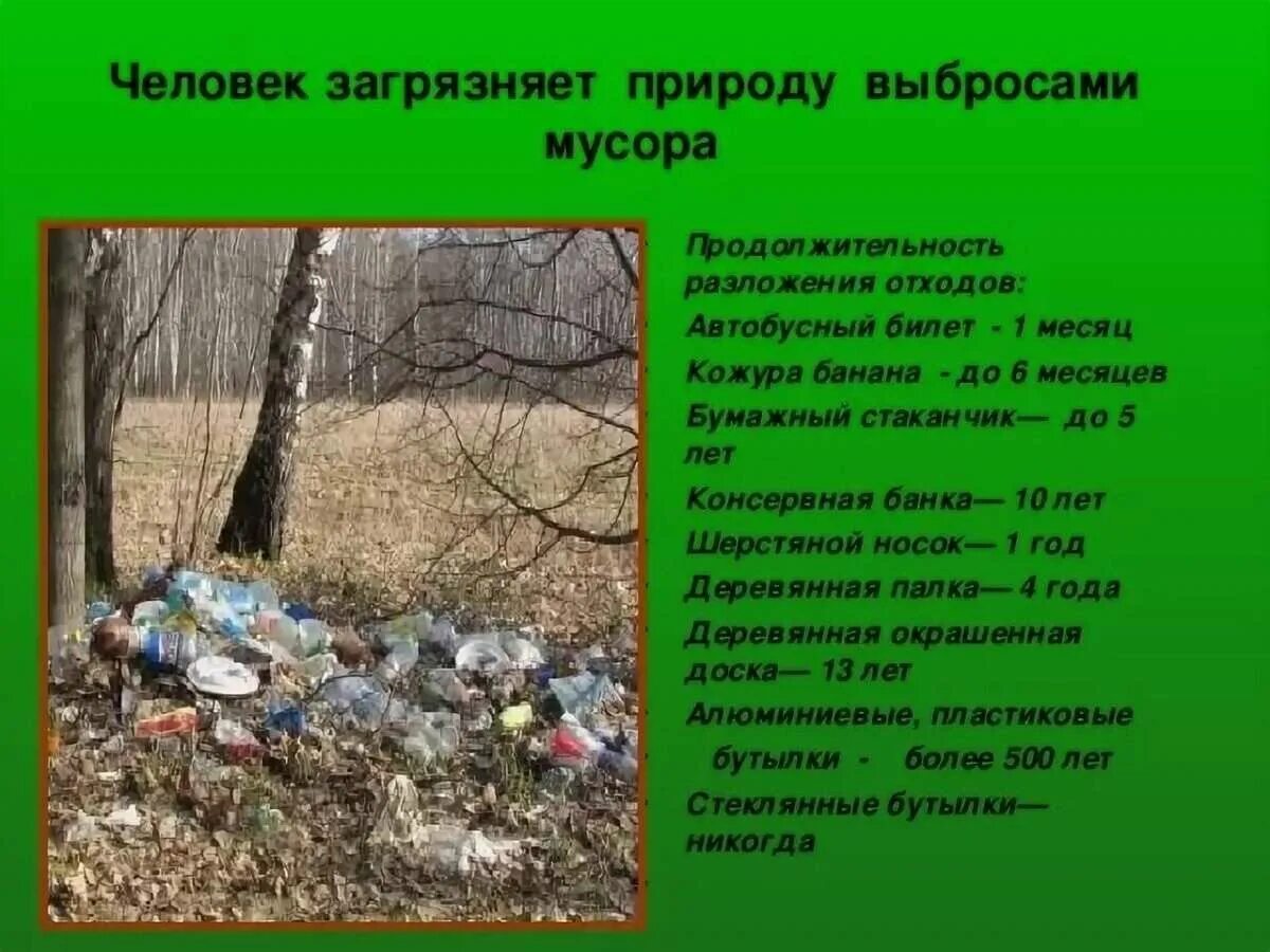 Подготовить короткое сообщение об экологическом состоянии улицы