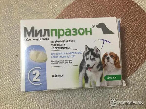 Суспензия от аллергии для собак. Празител суспензия для щенков. Стоп-зуд суспензия для собак. Милпразон для собак дозировка. Таблетки от аллергии собакам мелких пород.