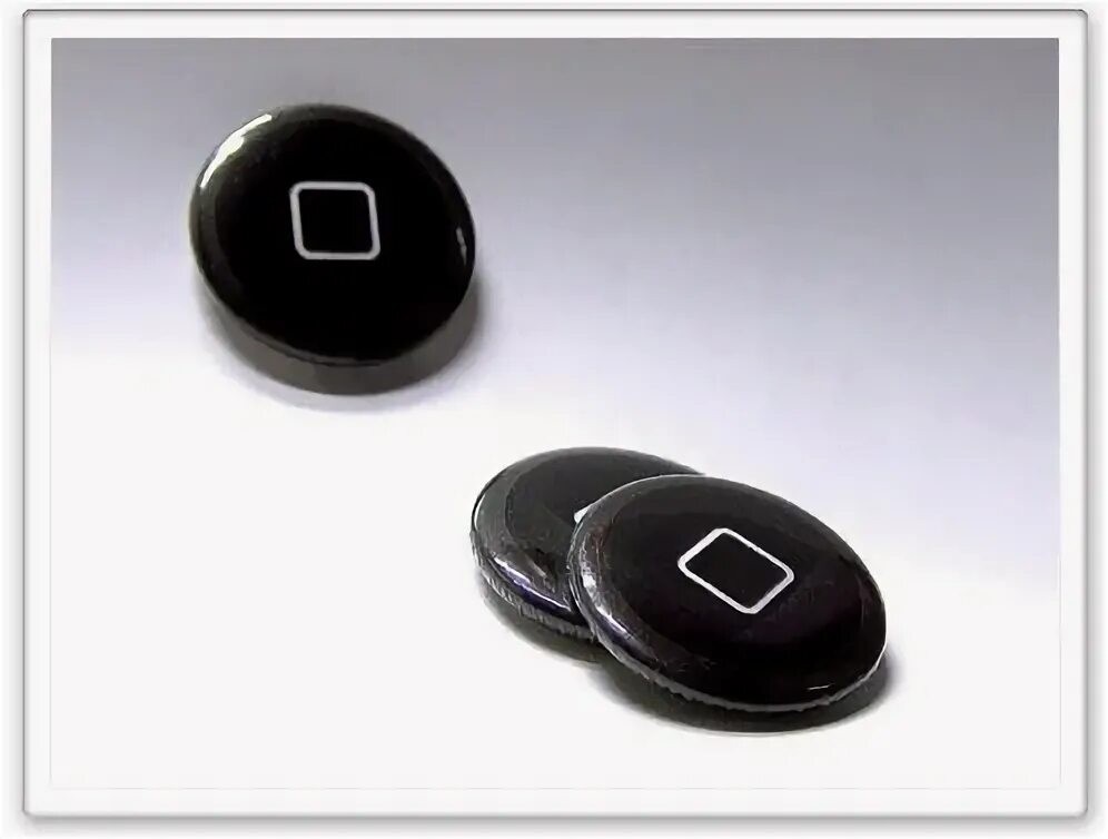 Fixed button