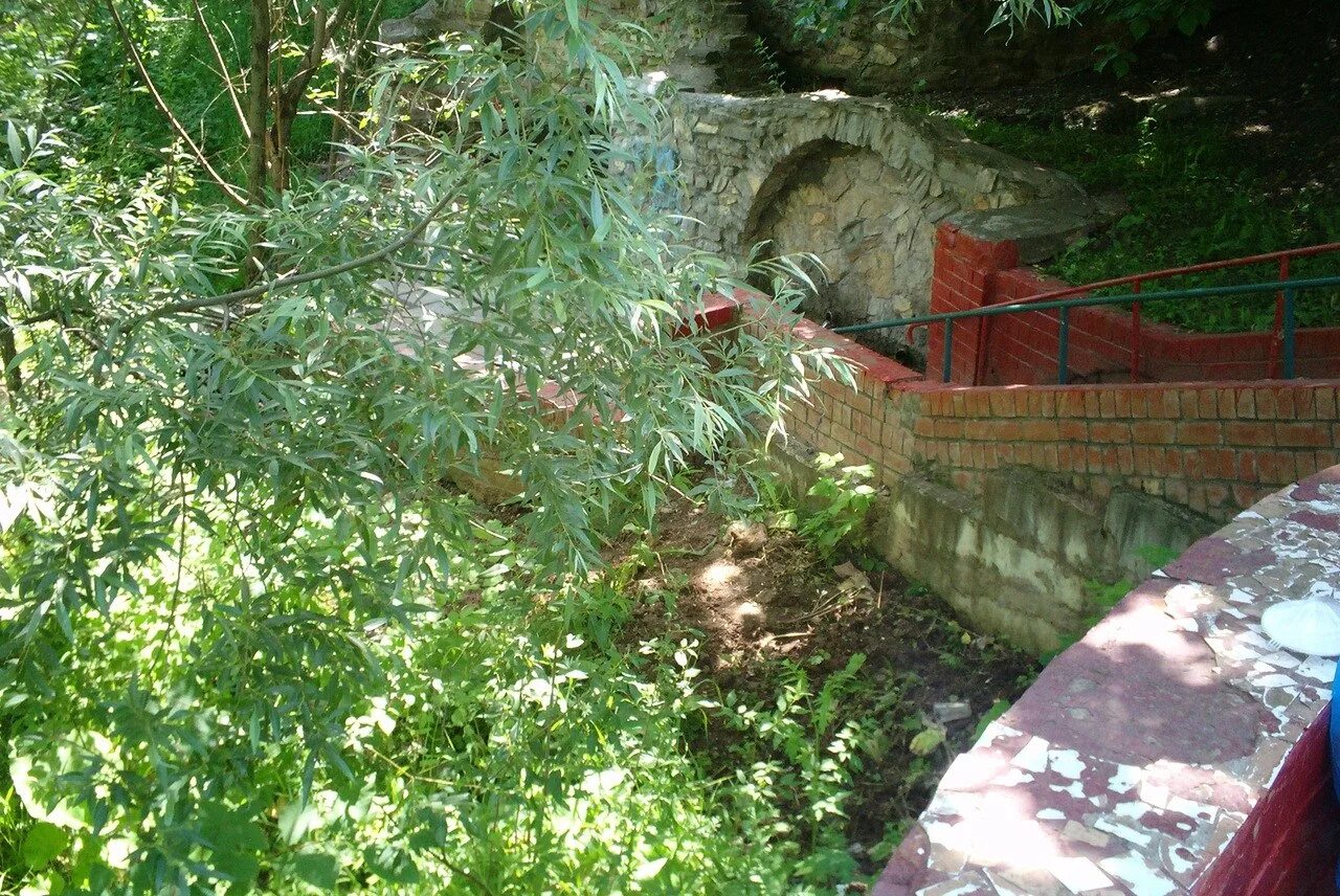 Найдена кошка. Найти кота на картинке. Найди кота. Найдите кота на картинке. Найди кота среди сов.