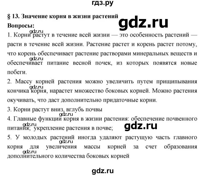 Биология 13 параграф краткое содержание