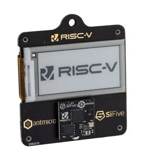 Risc v