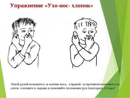 Левое правое ухо