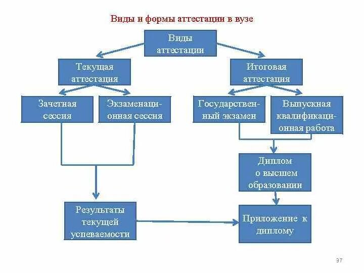 Формы аттестации в вузе. Виды аттестации студентов. Итоговая аттестация в вузе это формы. Формы и виды текущей аттестации студентов.