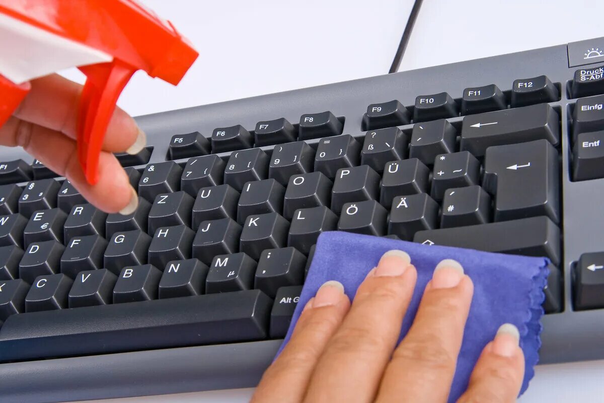 Как почистить компьютер: ответный удар по бактериям Клуб DNS Дзен