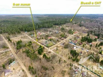 Снт поляна ленинградская область