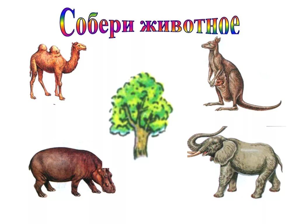 Собрать животных 2. Игра &quot;собери животное&quot; надпись. собери названия животных. надпись собери животного. собери зверя.