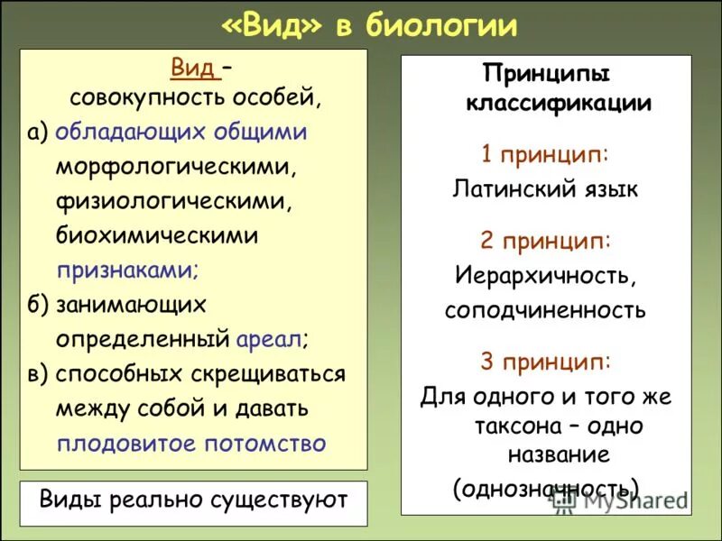 Биологическим видом является. Понятие вид в биологии. Биологический вид определение. Вид качественный этап эволюционного процесса. Биологический мониторинг.