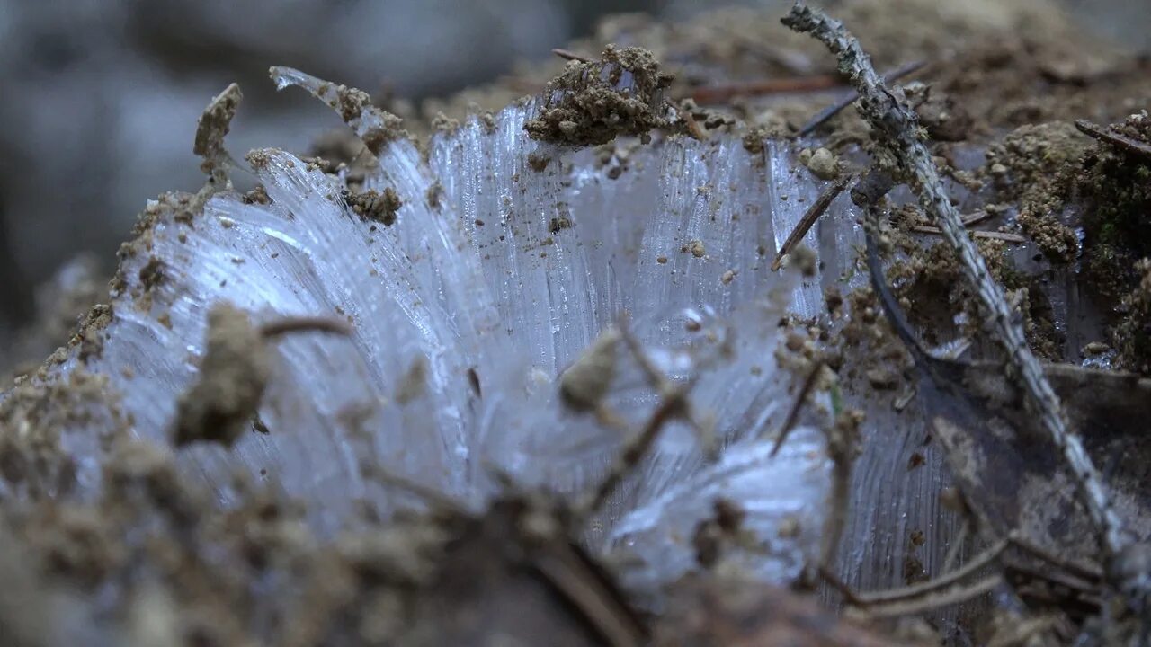 Биологи обнаружили удивительное явление. Ледяные чудеса природы. Промерзший грунт. Замерзшая почва с камнями. Промерзлая земля.