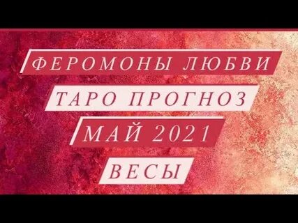 Феромоны любви песня