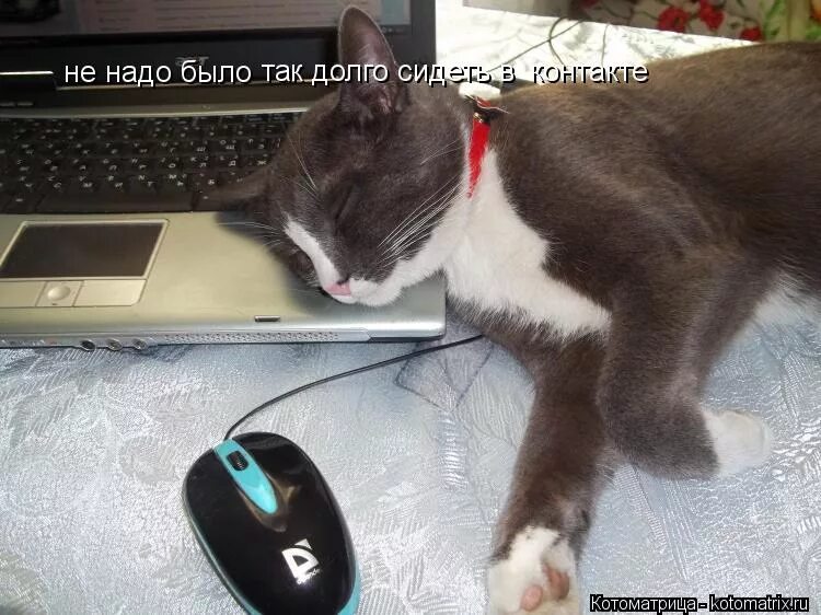 если долго сидеть. чем дольше я сижу дома. демотиваторы про детей. что будет если долго сидеть дома. долго в интернете не сиди лучше спатеньки иди.