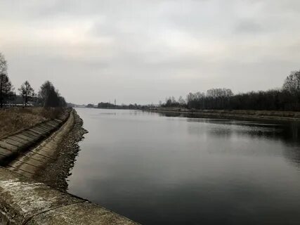 Прогноз икша