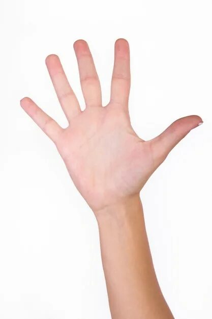Рука пятерки. Пальцы. Пять рука. Рука человека. Пять пальцев.