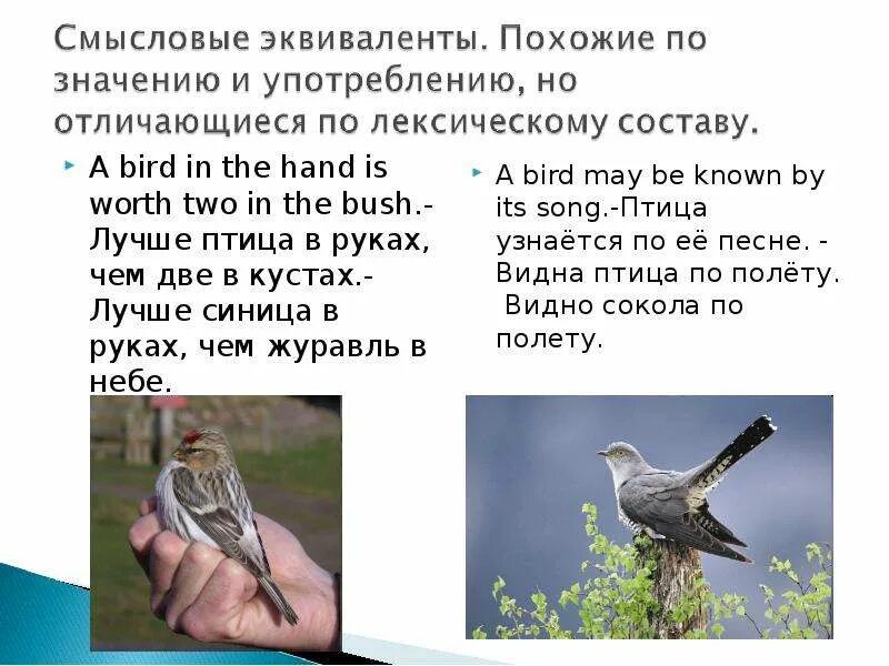 Выражение журавль в руках. Синица в руках журавль в небе. лучше синица в руках чем журавль. лучше синица в руках чем журавль в небе. синица в руках чем журавль в небе.