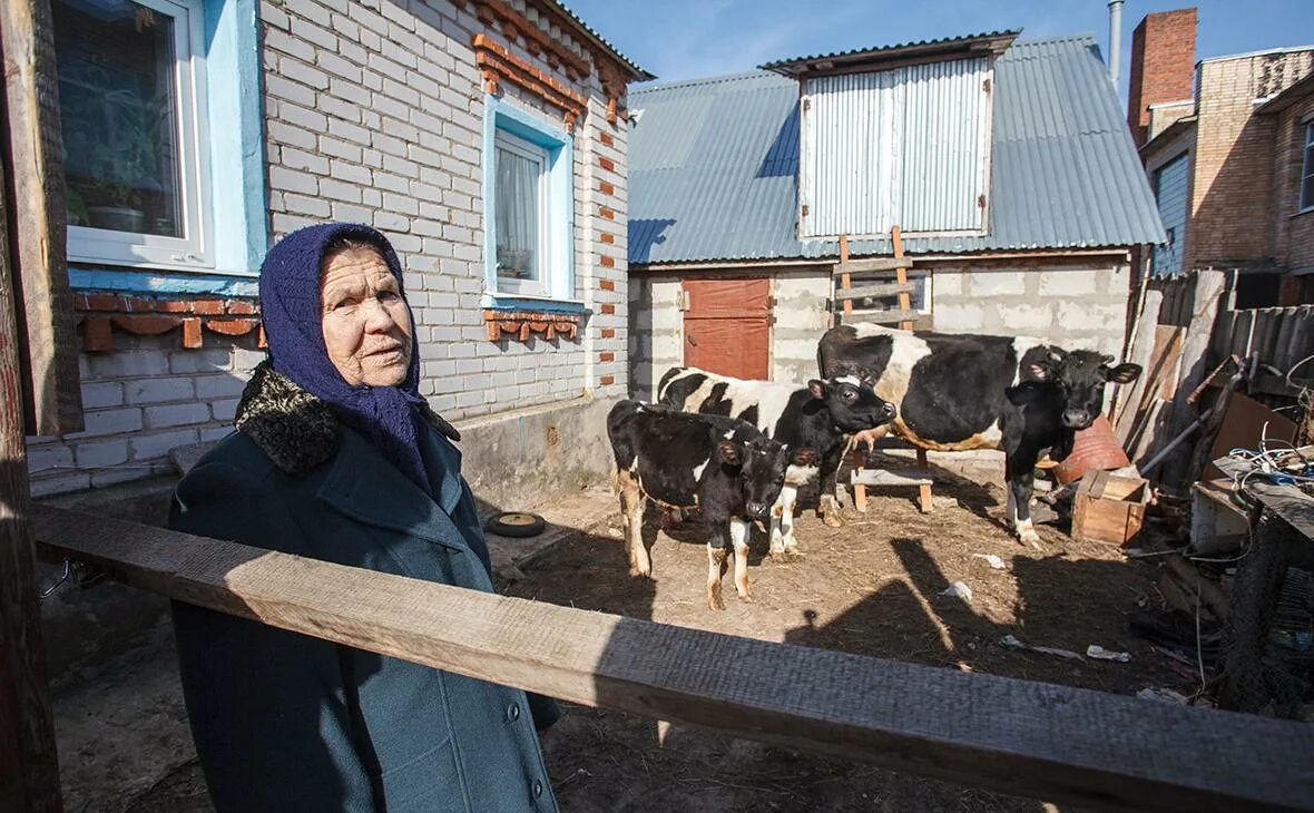 Число личных подсобных хозяйств. Подсобное хозяйство. 5с в сельском хозяйстве. крестьянские фермерские хозяйства количество и состав учредителей.