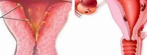 Толық метражды порно фильм Калигула