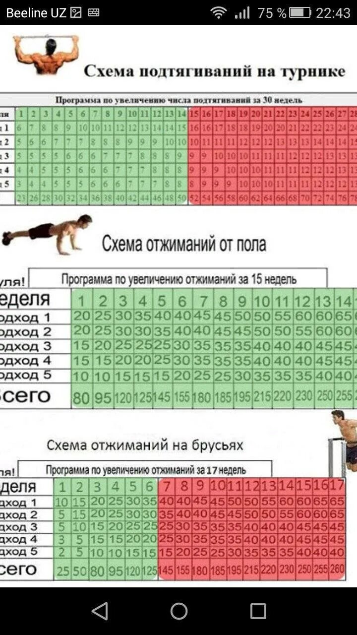 Подтягивания раз в неделю. Схема тренировок отжимания брусья и турник. Схема подтягиваний на турнике для начинающих. Схема тренировок на турнике для увеличения количества подтягиваний. Методика подтягивания на турнике с нуля схема.