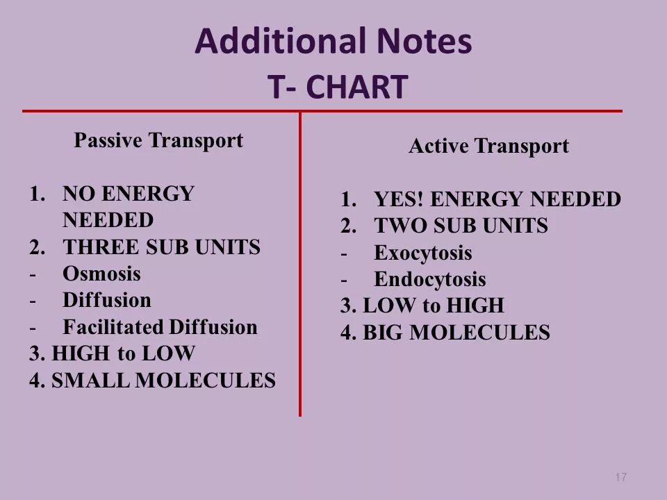 Action between. Active and passive transport. difference between passive and active. активы vs пассивы. the energy differences between passive and active transport.