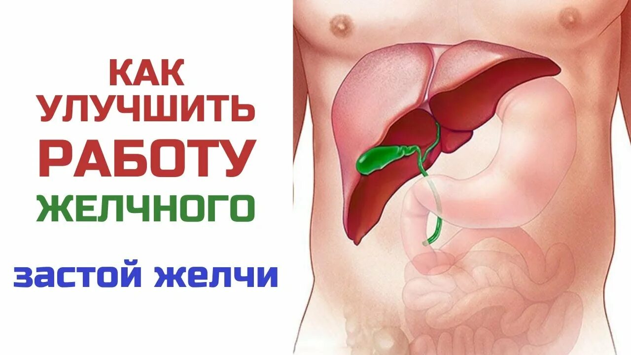 Желчный пузырь застой отзывы