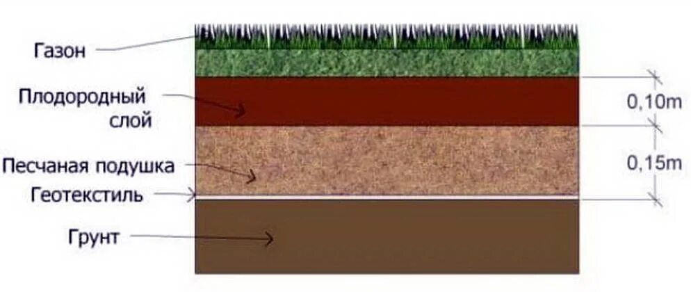Какой толщины слой нужно снять. Схема устройства рулонного газона. Устройство газона схема. Схема устройства газона посевного. Схема посадки газона.