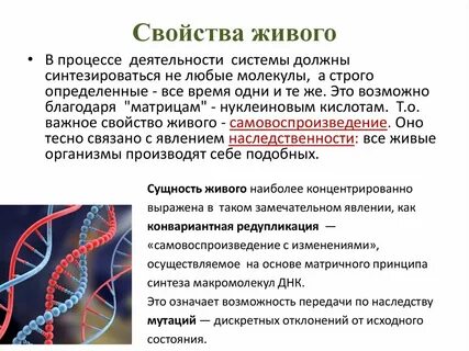 Виды общих свойств живых систем