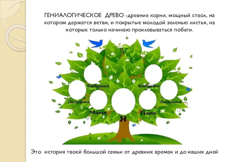 Дерево однкнр