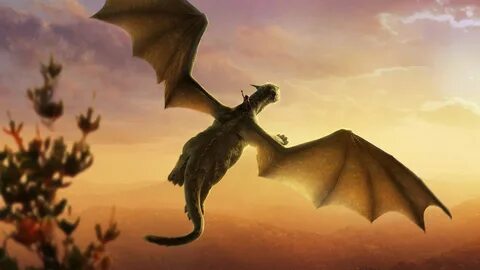 Dragon skies
