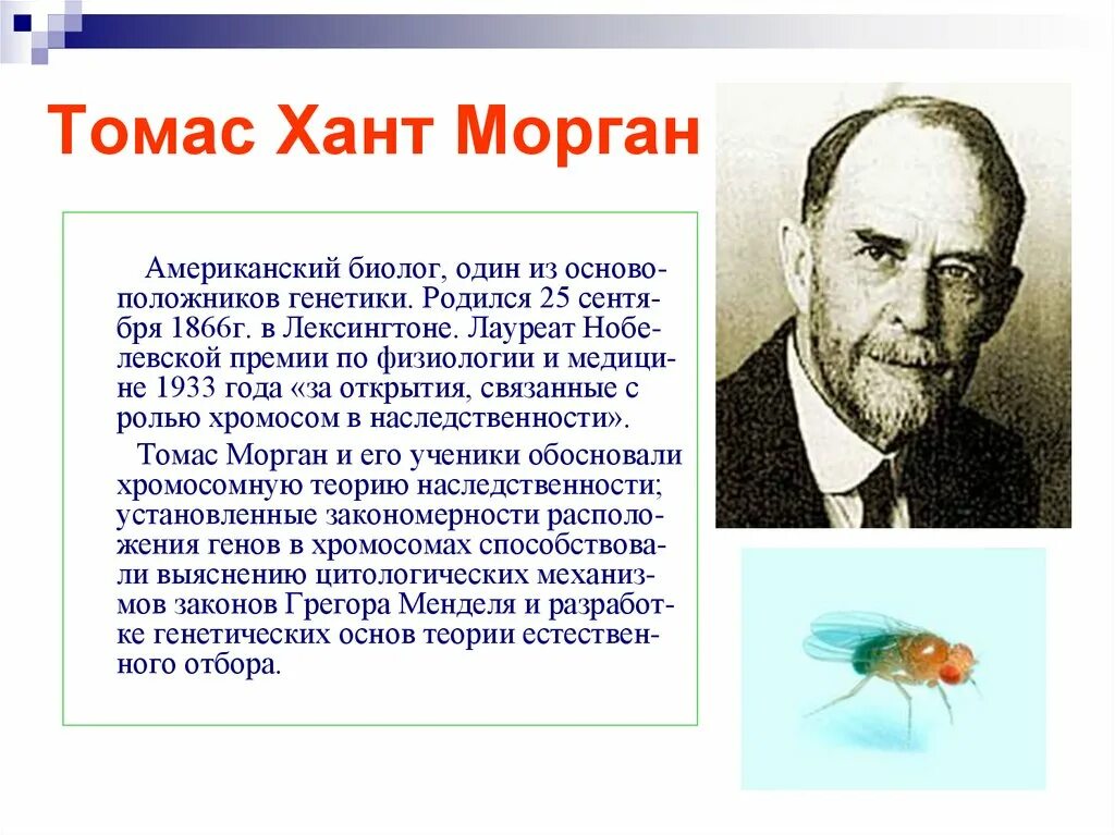 Которые исследовали данную эту