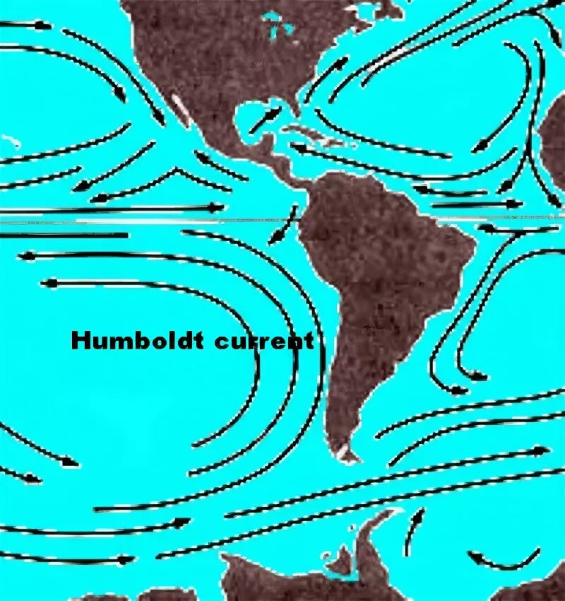 Течение Гумбольдта. Перуанское течение на карте. Течение Гумбольдта на карте. Перуанское Холодное течение.