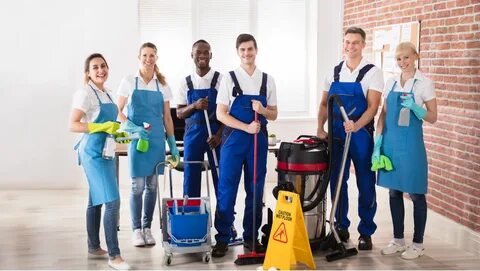 Professional cleaners