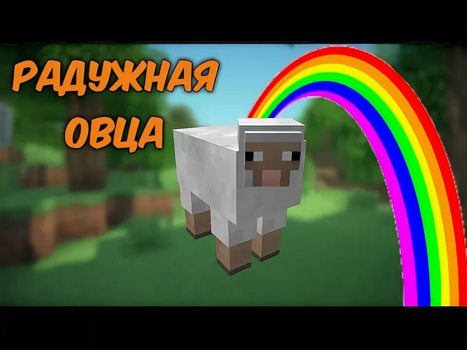 Как сделать радужную овцу. Радужный баран майнкрафт. Майнкрафт радужные овцы. Радужная овца в майнкрафте. Скин радужной овцы.