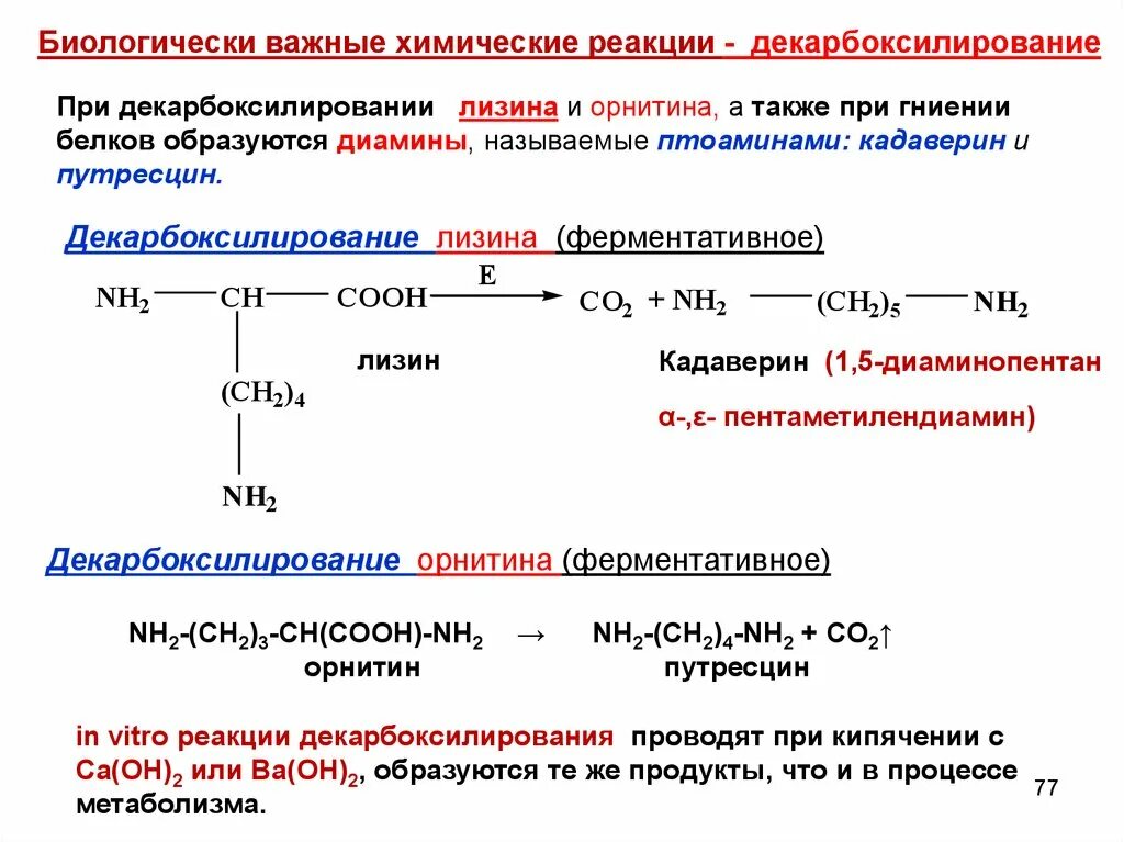 Какие вещества образуются при гидролизе белков. Окислительное декарбоксилирование кетокислот. Декарбоксилирование орнитина реакция. Декарбоксилирование Альфа аминокислот. Диссоциация глутаминовой кислоты.