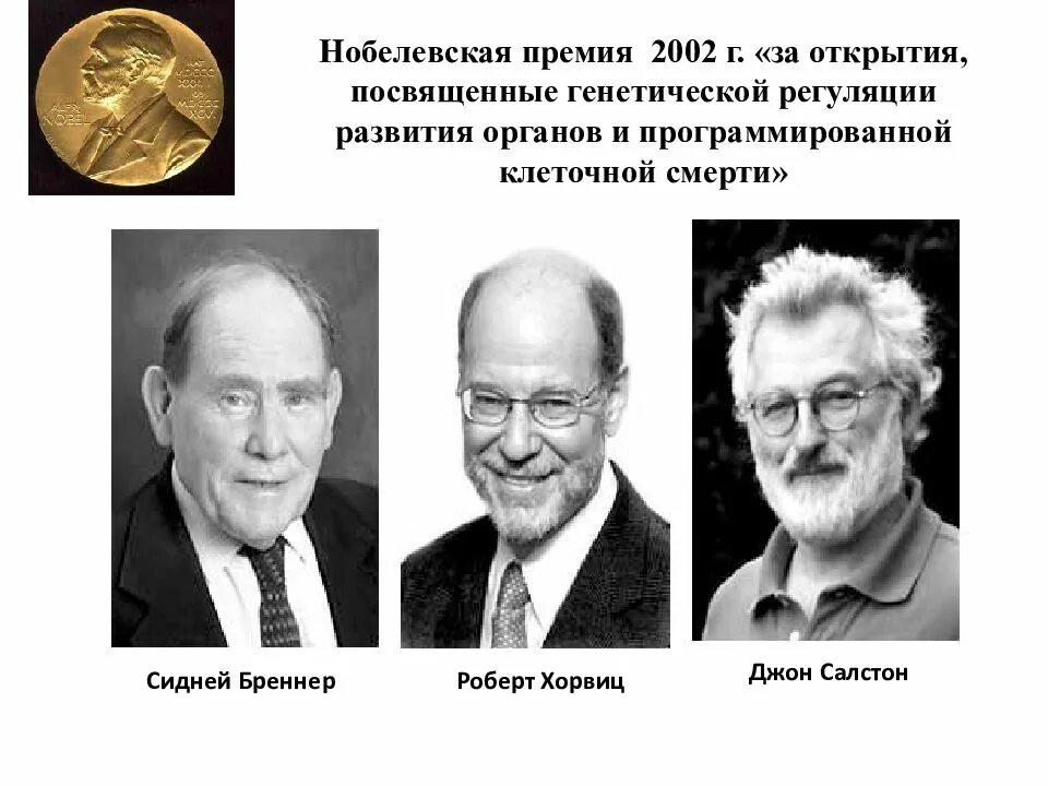 Премия 2002. Джон Керр апоптоз. Джон Салстон. Джон Керр ученый апоптоз.