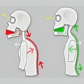 Правильная позиция жизни