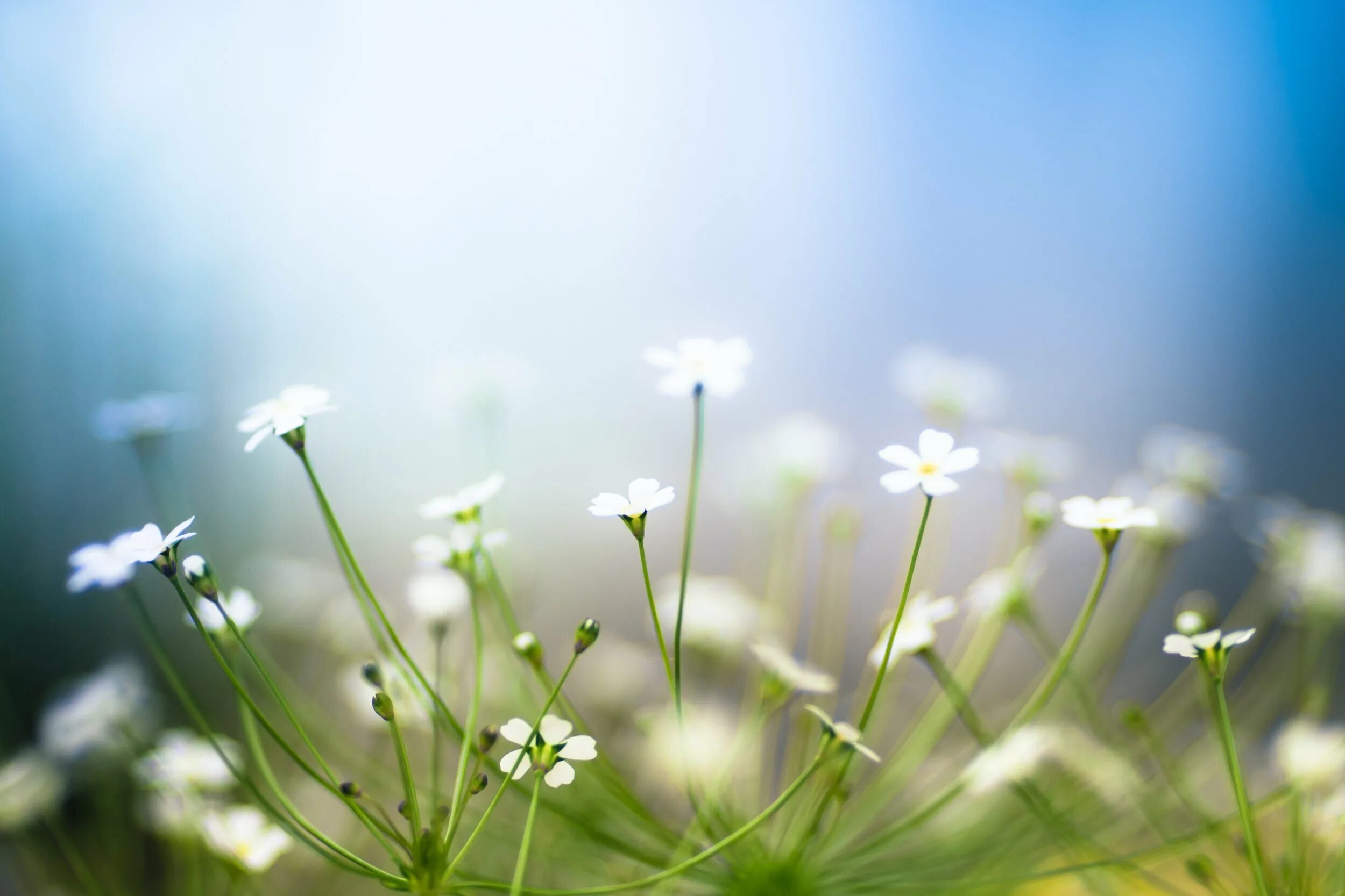 Was the best in spring. Спринг. Spring Fon. Spring pics. Spring background идеа.