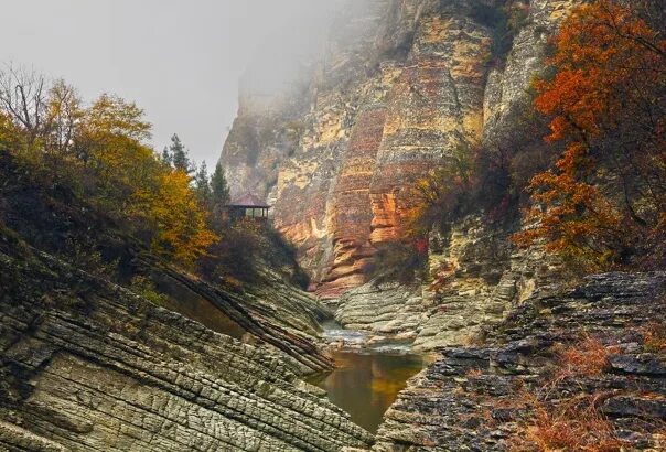 Золотая осень на Кавказе. Photographer Dmitriy Arhipov
