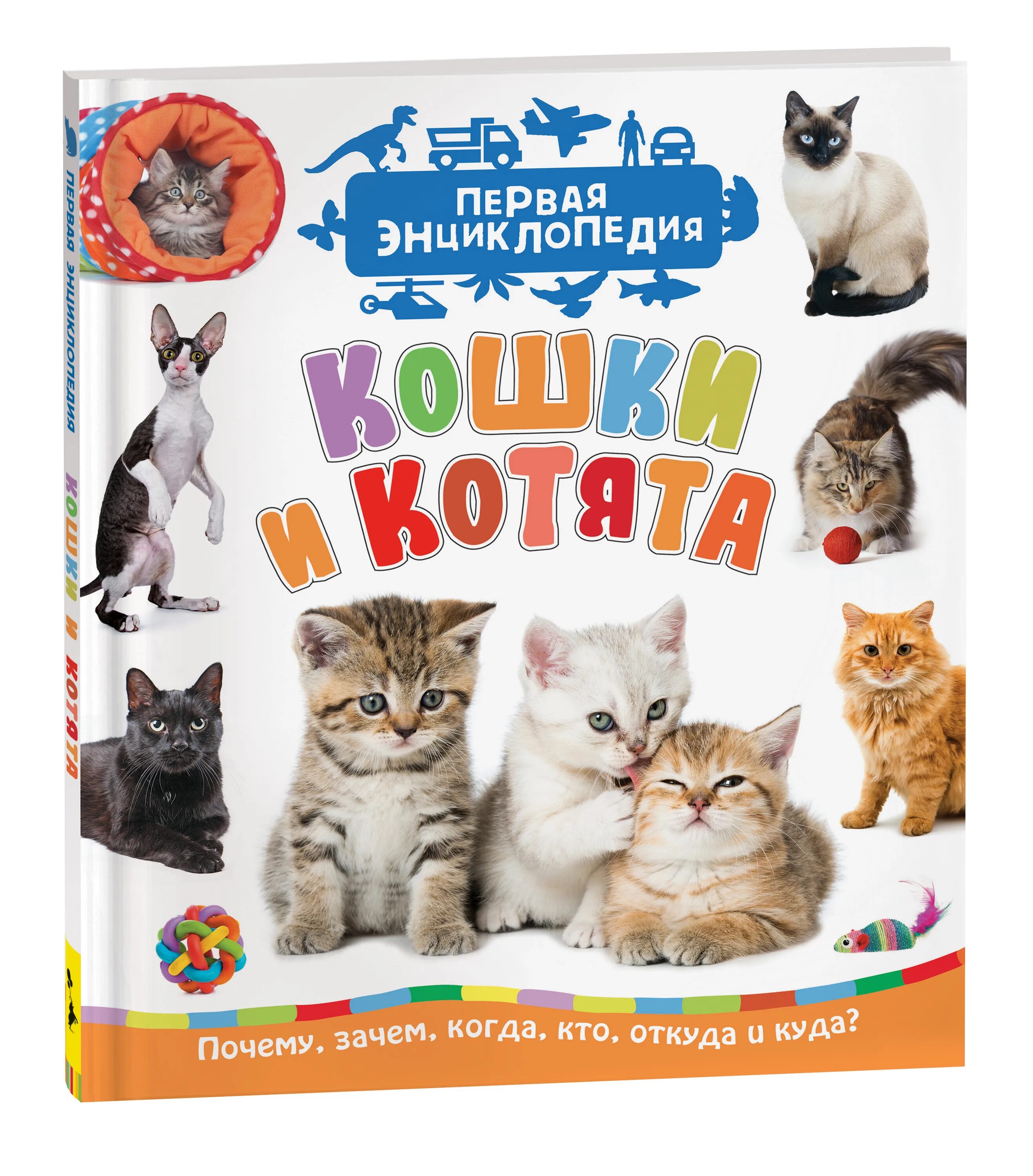 Детские книжки про кошек. Детская энциклопедия росмэн кошки. Книги про кошек. Кошки и котята 22214. Энциклопедия росмэн кошки.