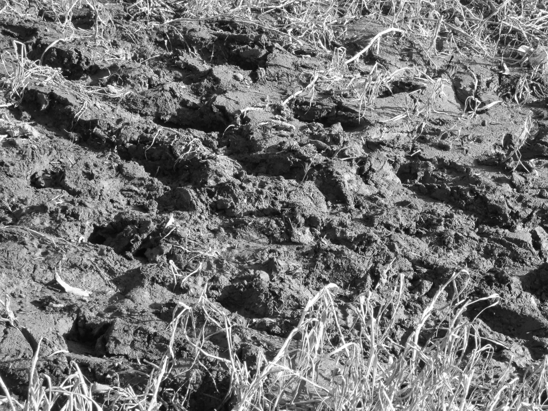 Окружение земли. Вскопанная земля текстура. Текстура грязи. Земля грязь. Неровная поверхность почвы.