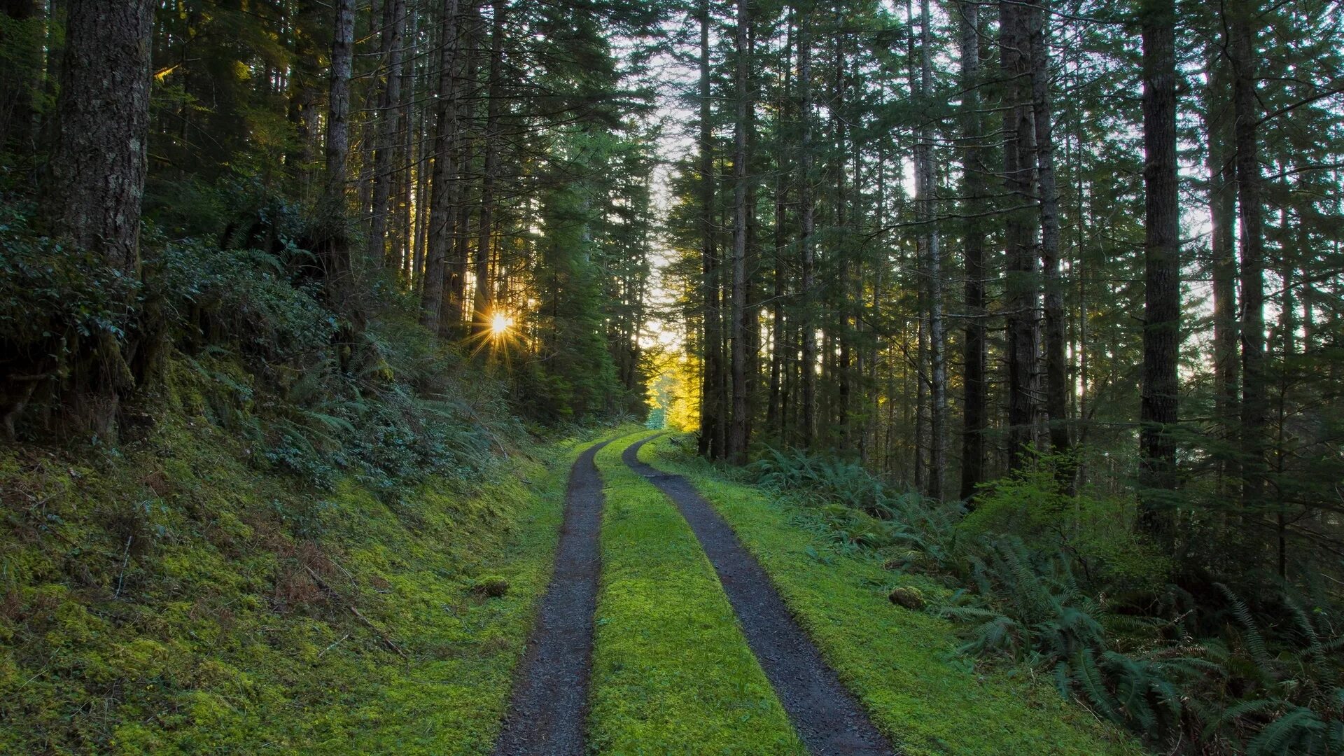 Path