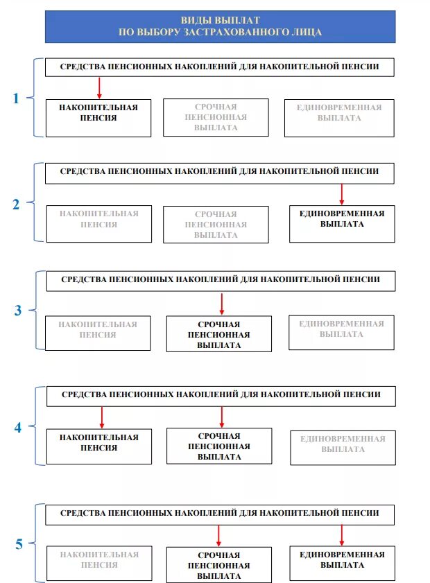 Правила единовременной выплаты пенсионным фондом. Срочная пенсионная выплата. Виды выплат накопительной пенсии. Срочная выплата пенсионных накоплений. Накопительная срочная и единовременная выплата.