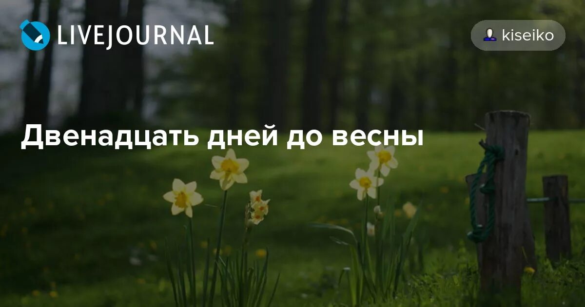 Сколько осталось дней до 13 апреля 2024. 12 Дней до весны. До весны дней. До весны осталось 12 дней. Двенадцать дней до весны картинки.