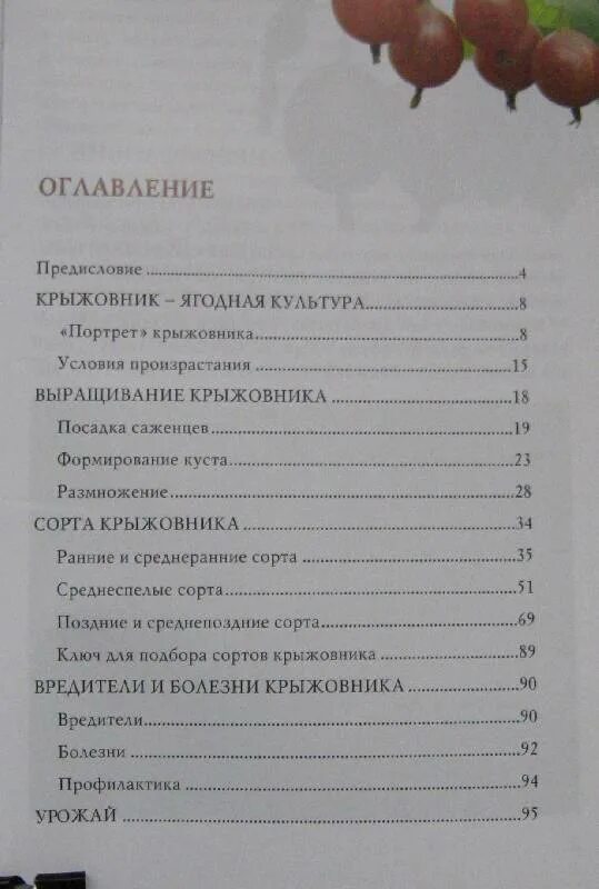 Крыжовник рассказ краткое содержание. Сколько страниц в рассказе крыжовник. Сколько страниц в рассказе Чехова крыжовник. Крыжовник сколько страниц в книге. Крыжовник сколько страниц.